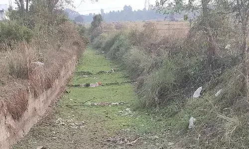 Srikakulam, irrigation canals, APnews