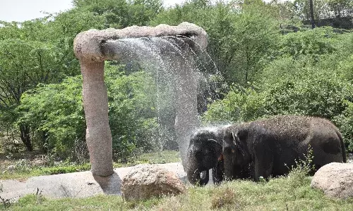Hyderabad ,Nehru Zoological park, Hyderabad zoo, Summer