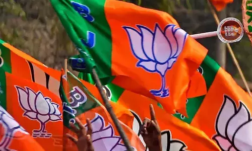 Karnataka polls , BJP, National news