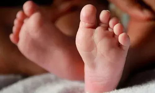 Hyderabad, mosquito repellent liquid, Chandanagar