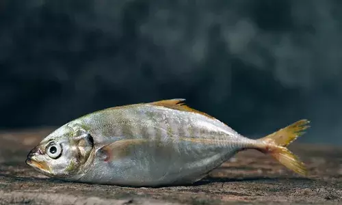 Fish , Alluri Sitaramaraju district, APnews, Viral news