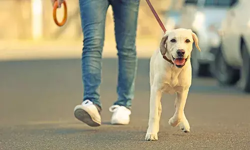 Bengaluru , Crime news