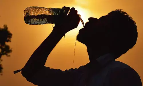 Andhra Pradesh, Heat wave , APSDMA