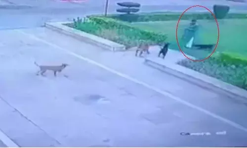 యూనివర్సిటీలో మనిషి ప్రాణం తీసిన కుక్కలు.. సీసీటీవీ కెమెరాల్లో రికార్డు