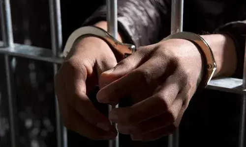 Tricolour, chicken, national flag, National news