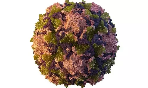 Wild poliovirus,sewage samples,Pakistan