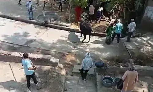 land dispute, Madhyapradesh, Crimenews