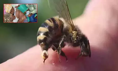 జగిత్యాల్లో కూలీలపై తేనెటీగల దాడి