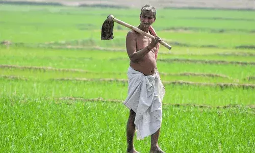 farmers, Rythu Bandhu, Telangana, CM KCR
