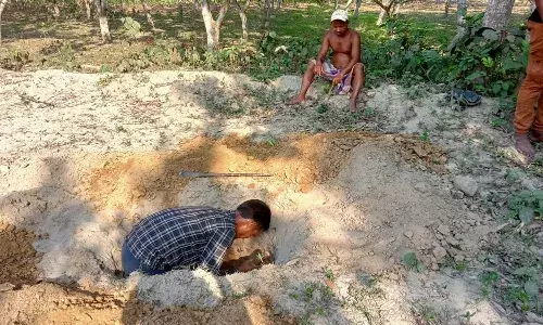 Ambulance, Dinajpur, Siliguri, West Bengal