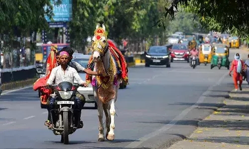 Hyderabad, Summer, sunlight, Telangana, TSDPS