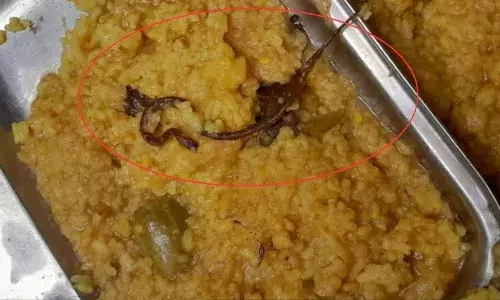 Bihar, Mid-Day Meal scheme, snake,  Araria