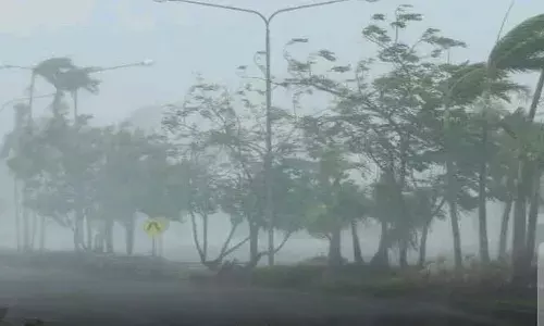 ఏపీలోని పలు ప్రాంతాల్లో గాలివాన భీభత్సం