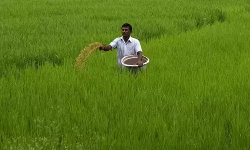 Rythu Bharosa, PM Kisan, CM Jagan, Kurnool, APnews