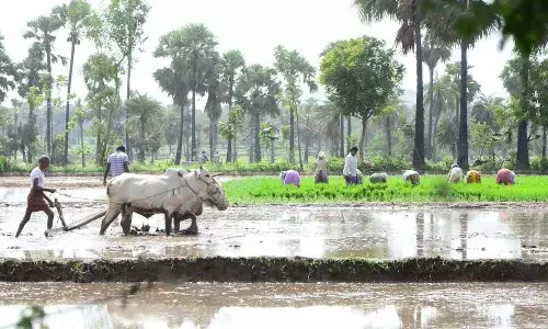 Farmers, Telangana Government, Free Electricity, agricultural, Farmers support schemes