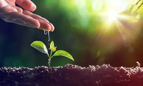 World Environment Day, international news, lifestyle