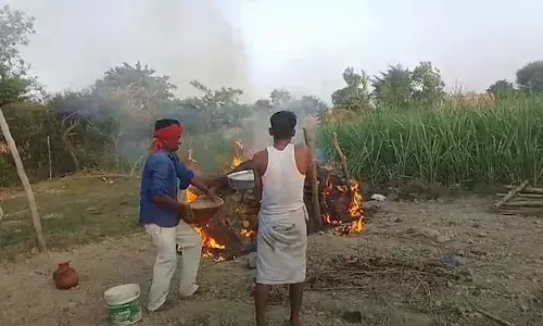 Newly married couple, heart attack , Uttar pradesh, Bharaich