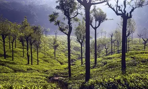 Coonoor, hill station, Summer Vacation
