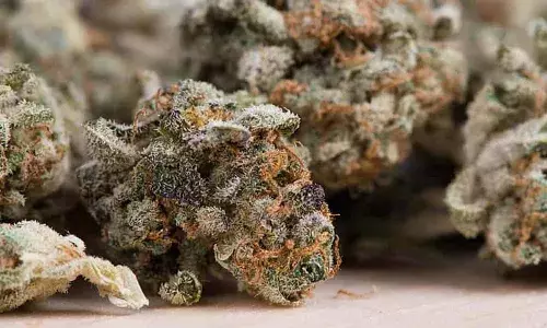 Panipuri trader , ganja , Hyderabad, Crime news