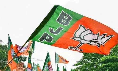 Amit Shah, BJP,  Lok Sabha elections, National news