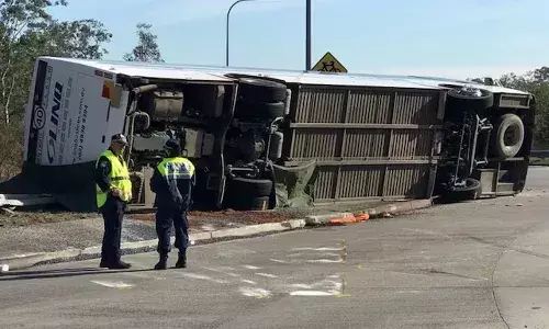 Bus, wedding, Australia, international news