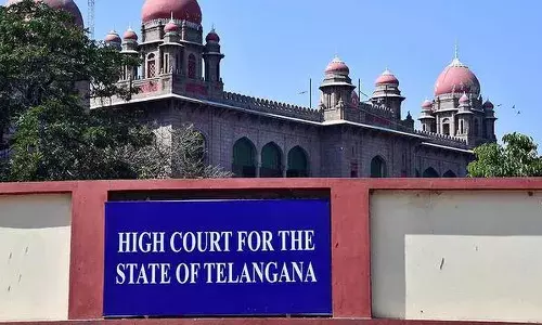 Telangana, High Court, regularization,174 contract employees, lower courts