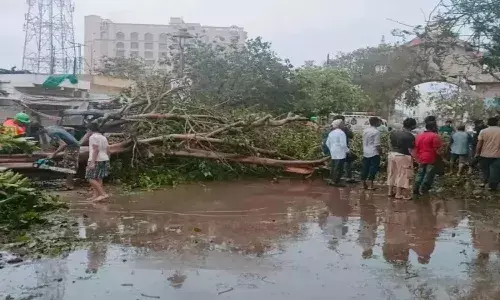 Biparjoy Cyclone, Gujarat, Kutch, National news