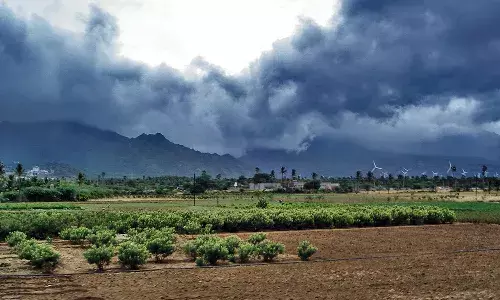Telangana farmers, Southwest Monsoon, IMD, Hyderabad