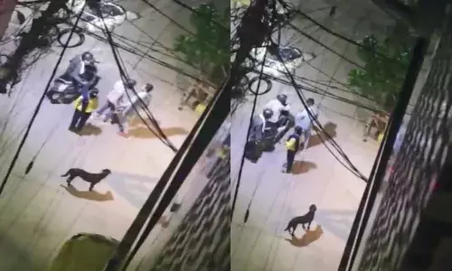 Delhi, Thief, give money, Couple, viral Video