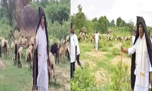 Minister Malla Reddy As shepherd Viral Video