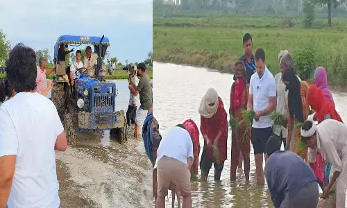 Rahul Gandhi, Corp Work, Farmers, congress,