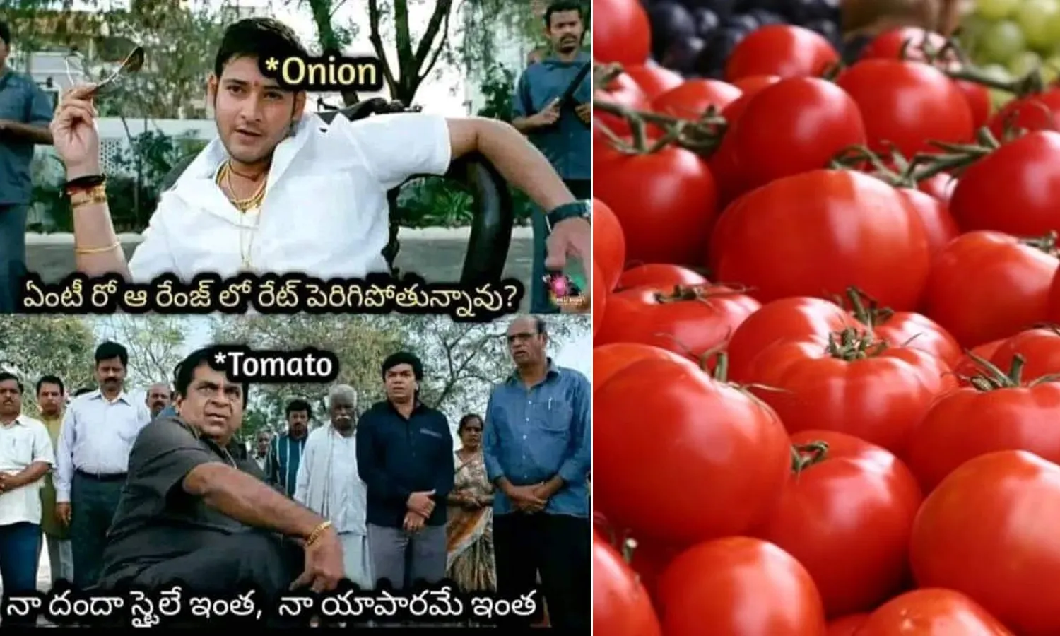 funny memes,  social media, Tomato Prices, Viral memes