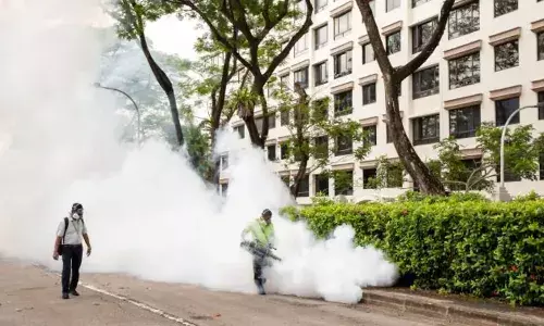 dengue, Hyderabad Rains, Vector borne diseases