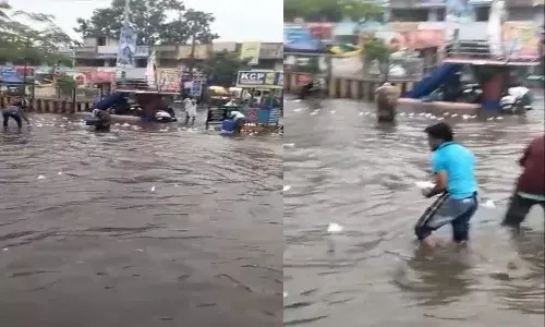 Milk Packets, Rain, Flood, Machilipatnam,