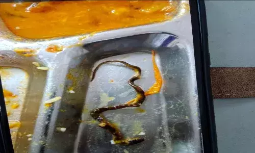 Hyderabad, ECIL Company, Snake In Food