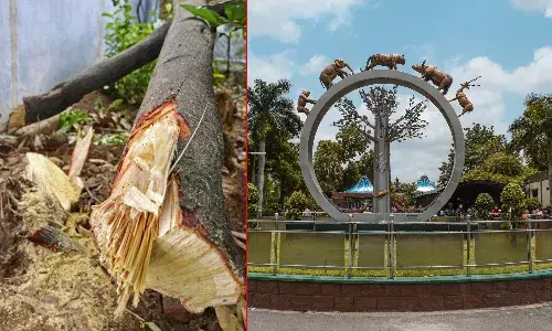 Miscreants arrest, sandalwood trees, Hyderabad Zoo Park