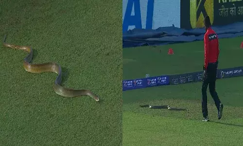 Snake, Cricket Stadium, colombo, Viral Video,