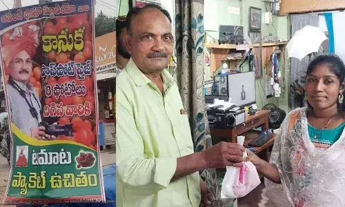 Kothagudem, photographer, Tomatoes