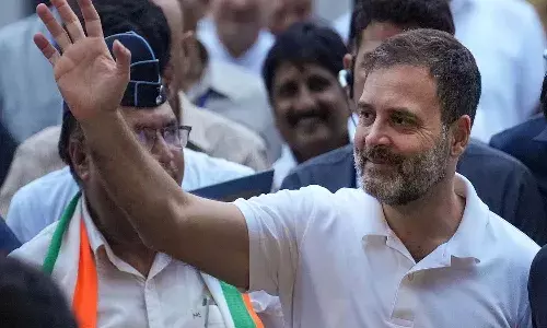 Rahul Gandhi,  MP, Back to loksabha, Congress ,