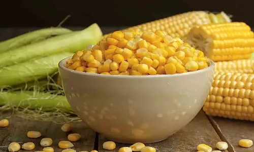 పోషకాల గని మొక్కజొన్న