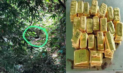 Gold, Smuggling, DRI, BSF,