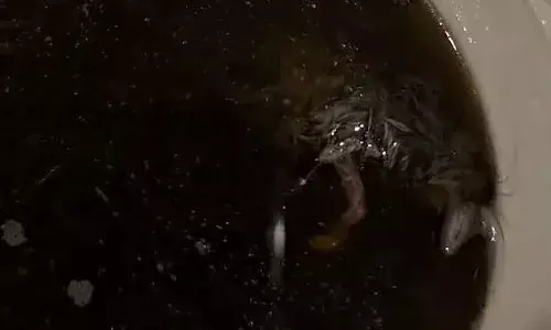 సూప్ లో ఏదో కదులుతోందని గమనించాడు.. తీరా చూస్తే