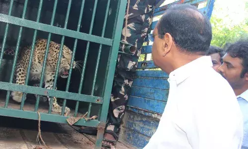 Leopard Trap, Forest Department,Tirumala, TTD