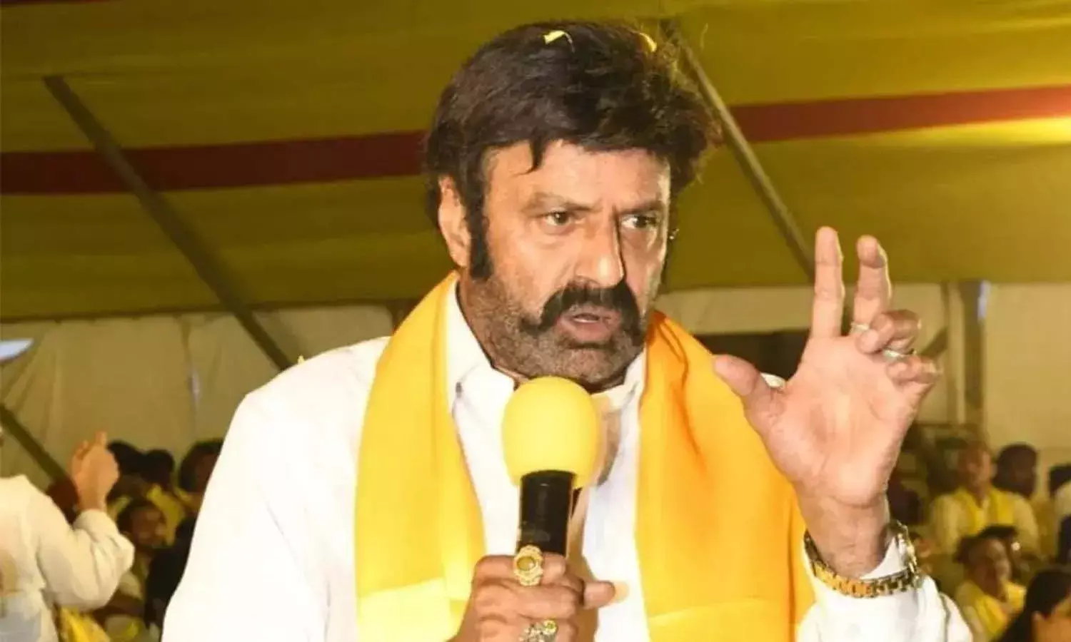 TDP, Balakrishna, YCP government, APnews