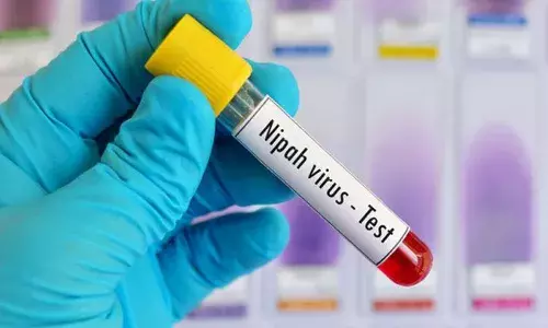 Nipah virus, kerala, two dead, health,