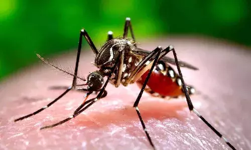 dengue cases, Hyderabad, Telangana