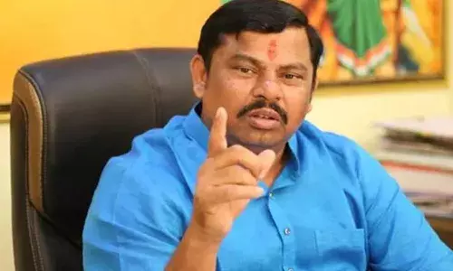 Chandrababu Arrest, MLA Raja Singh,  Telangana,