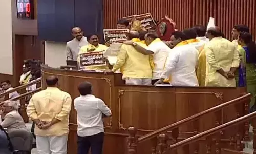 AP Assembly, Two TDP MLAs, Suspension, YCP,