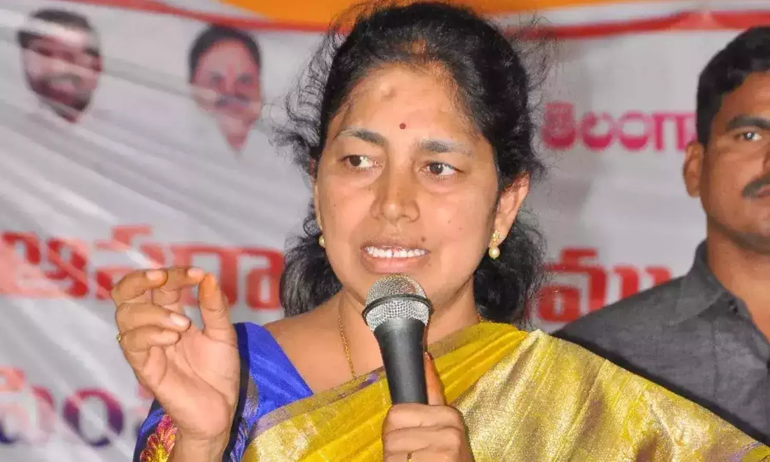 Aleru, MLA Gongidi Sunita, Telangana High Court