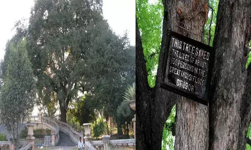 tamarind tree, saved 150 lives, OGH, memorial, solidarity meet,